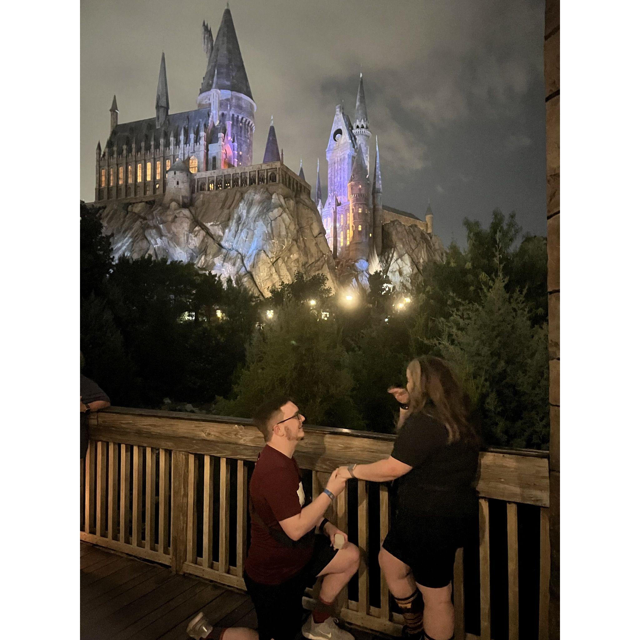 The Proposal