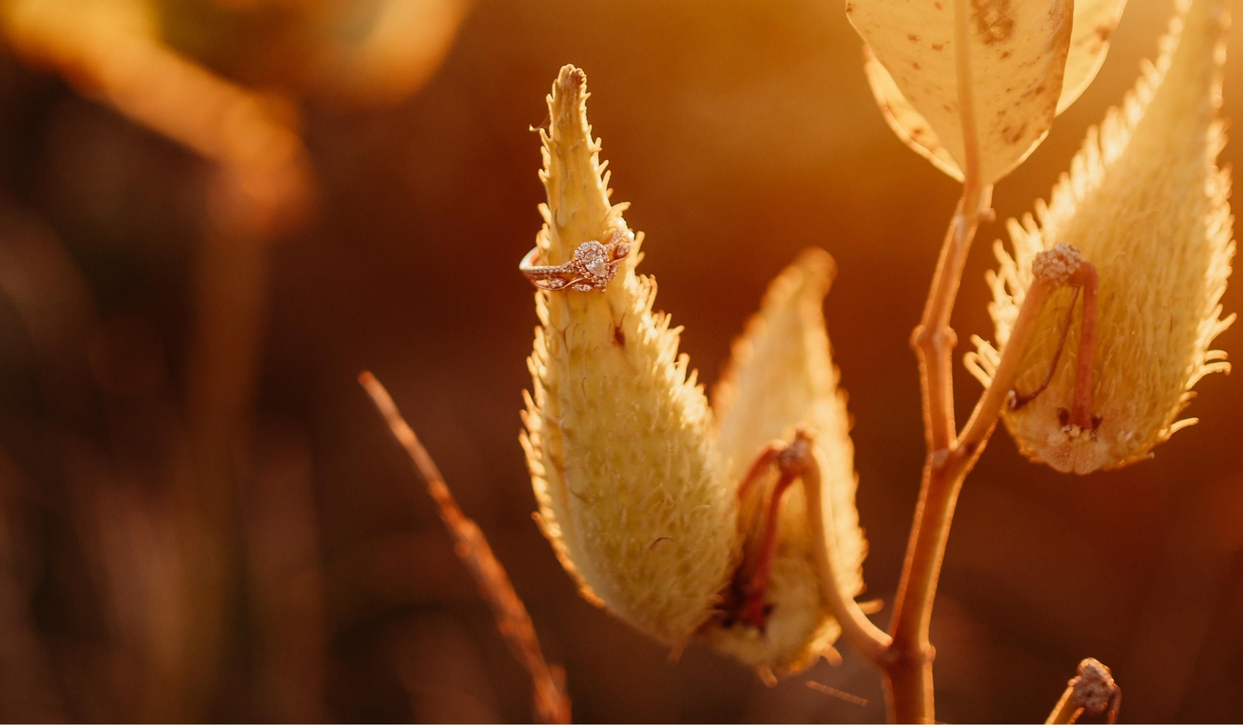 The Wedding Website of Kayleigh Smith and Hunter Ashba