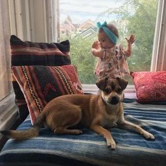 Charlie and Chico, 2018