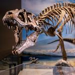 Natural History Museum of Utah