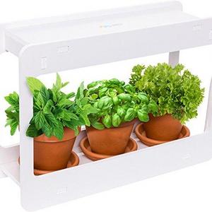 LED Indoor Herb Garden - At Home Mini Window Planter Kit for Herbs, Succulents, and Vegetables by Mindful Design (White)