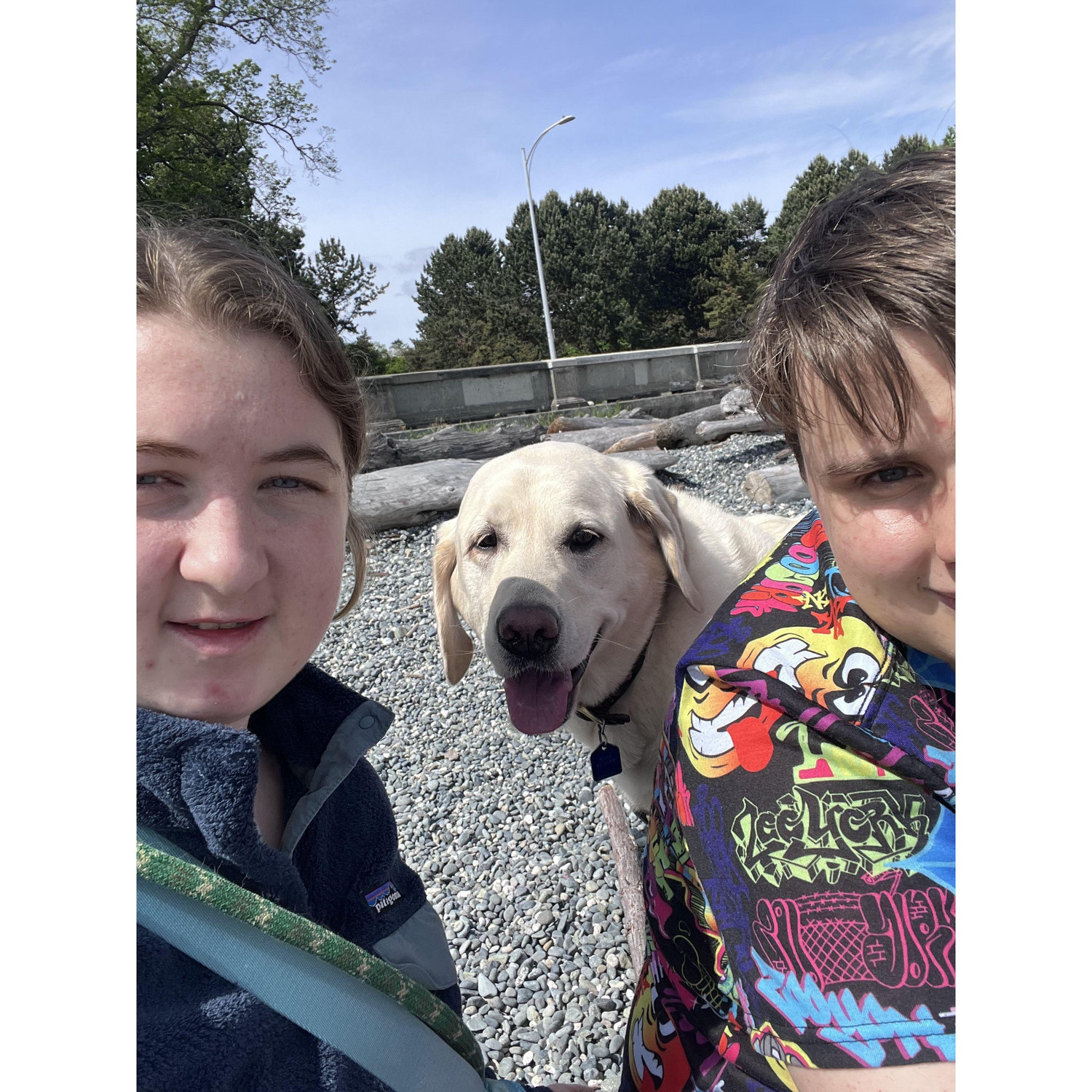 Walked Hugo to the beach June 2022.