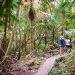 EL YUNQUE RAINFOREST