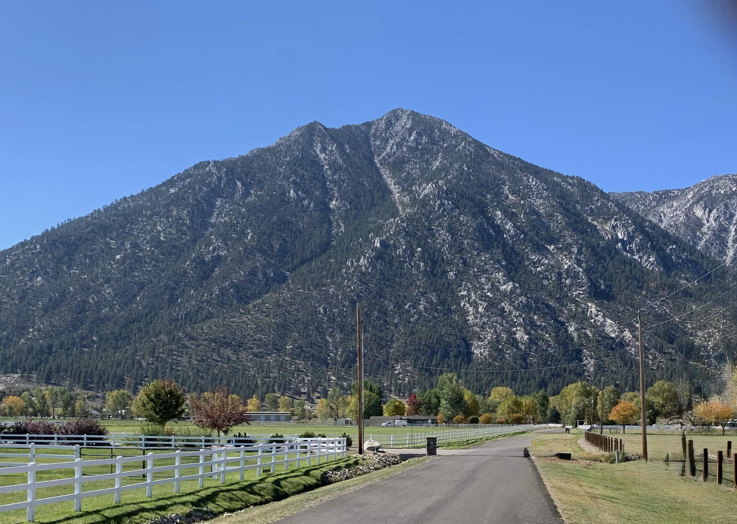 The Wedding Website of Lala Celaya and Evan Jones