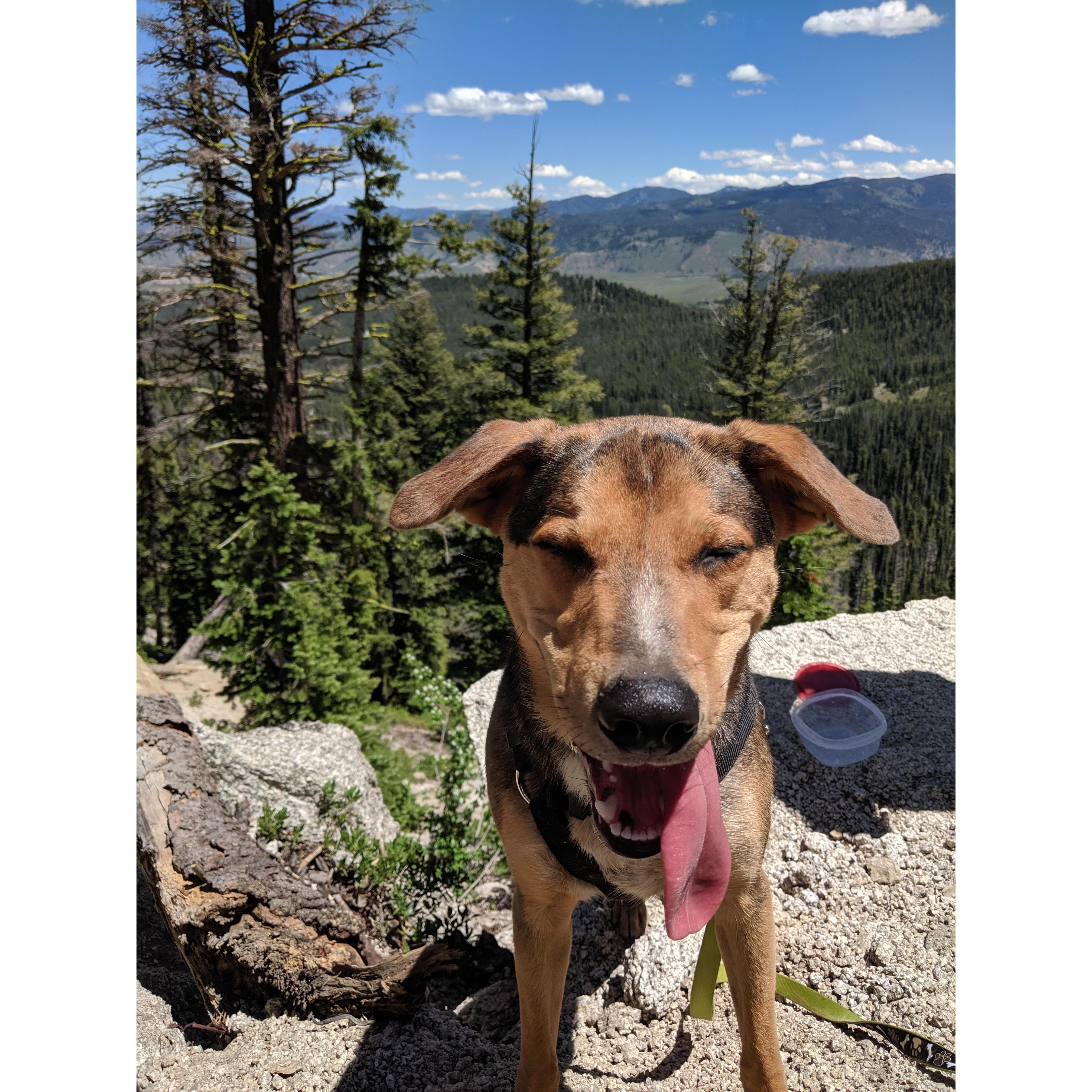 Leo's first hike in the Sawtooth Mountains