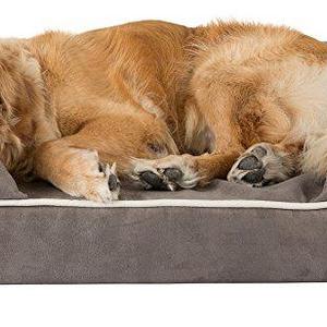 Friends Forever Premium Orthopedic Dog Bed / Lounge, Removable Cover, 100% Suede with Memory-Foam Base, Prestige Edition