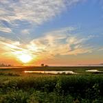 Baker Wetlands