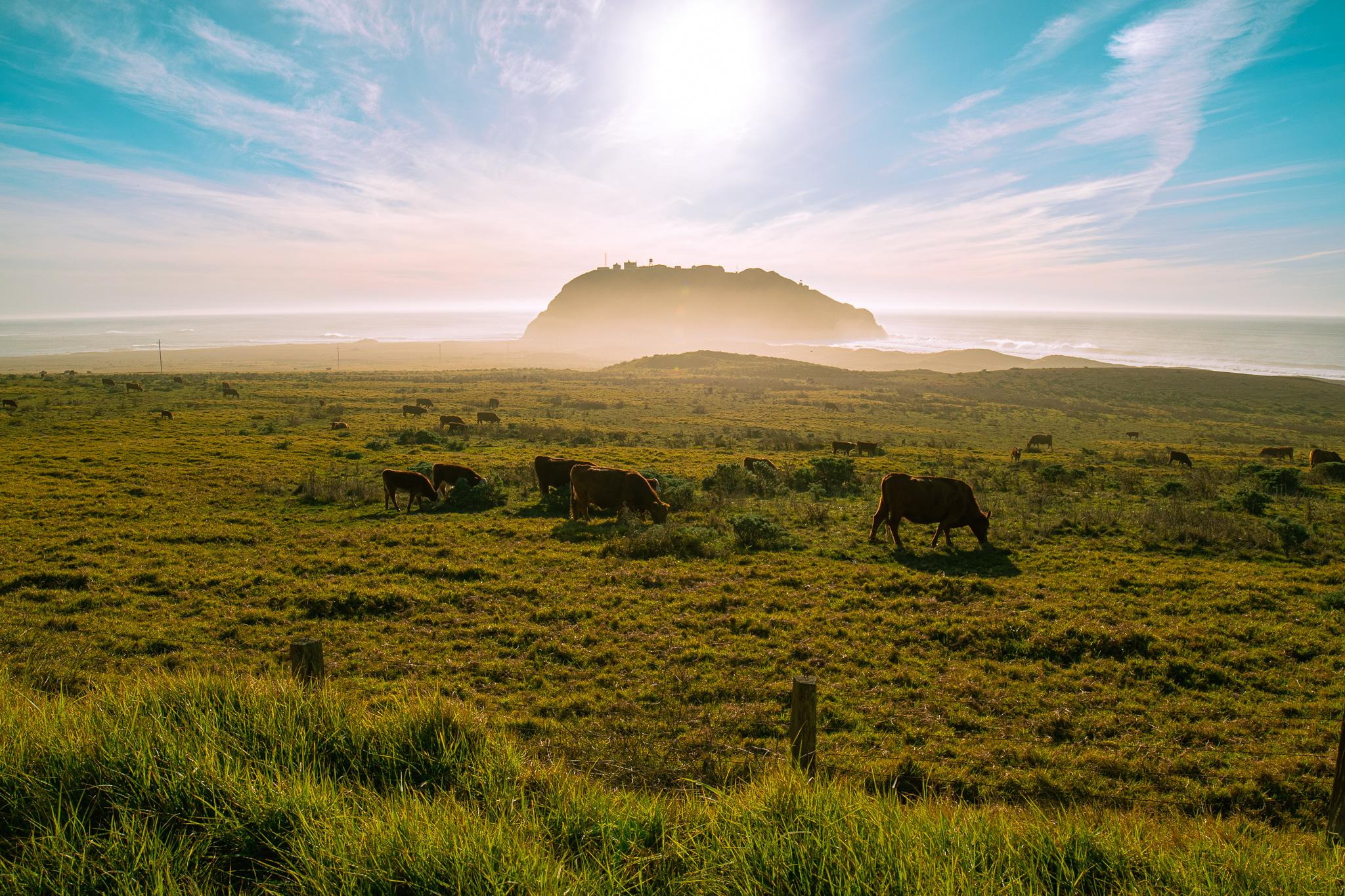 The Wedding Website of Melina Caputo and Christopher Gormley