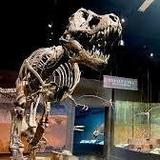 Tellus Science Museum