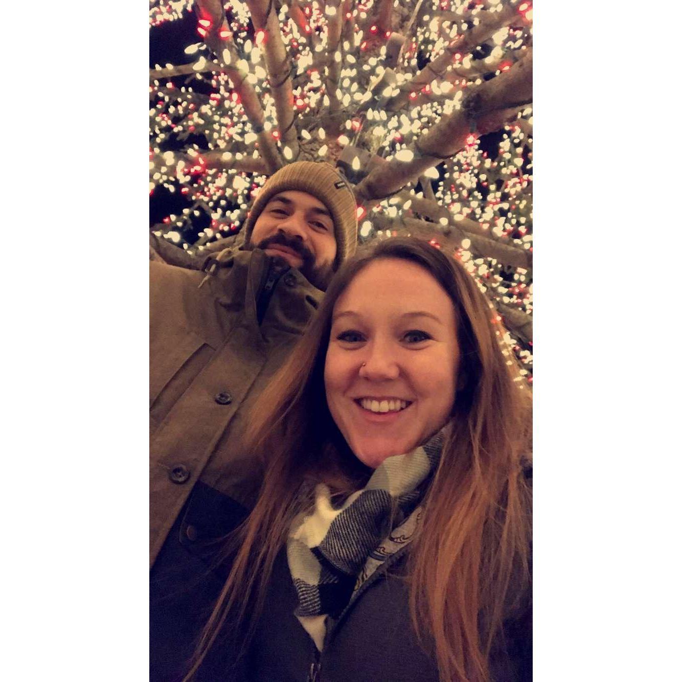 Under the Marist Tree (2018?)