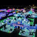 Magical Winter Lights - Houston