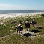 Daufuskie Trail Rides