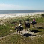 Daufuskie Trail Rides