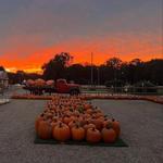 Gull Meadow Farms
