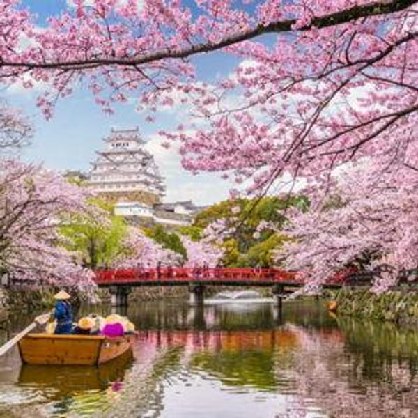 Honeymoon to Japan Fund