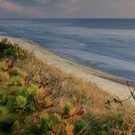 Cape Cod National Seashore