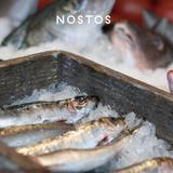 Nostos