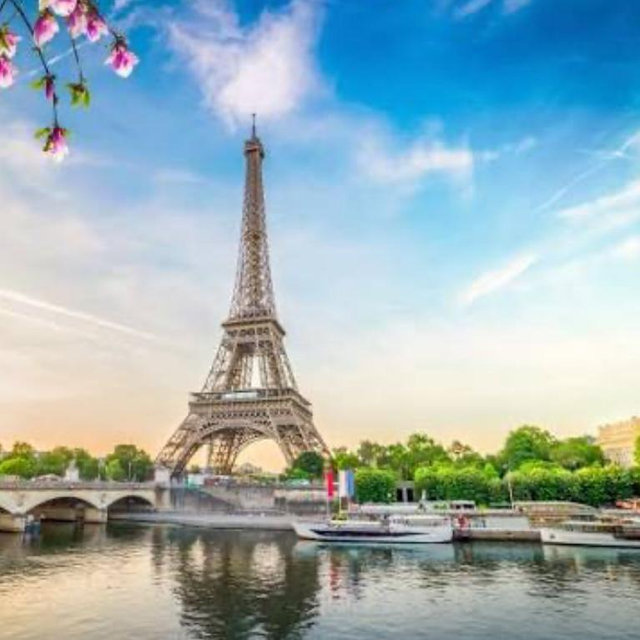 Eiffel Tower Excursion
