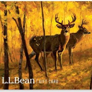 L.L.Bean E-Gift Card