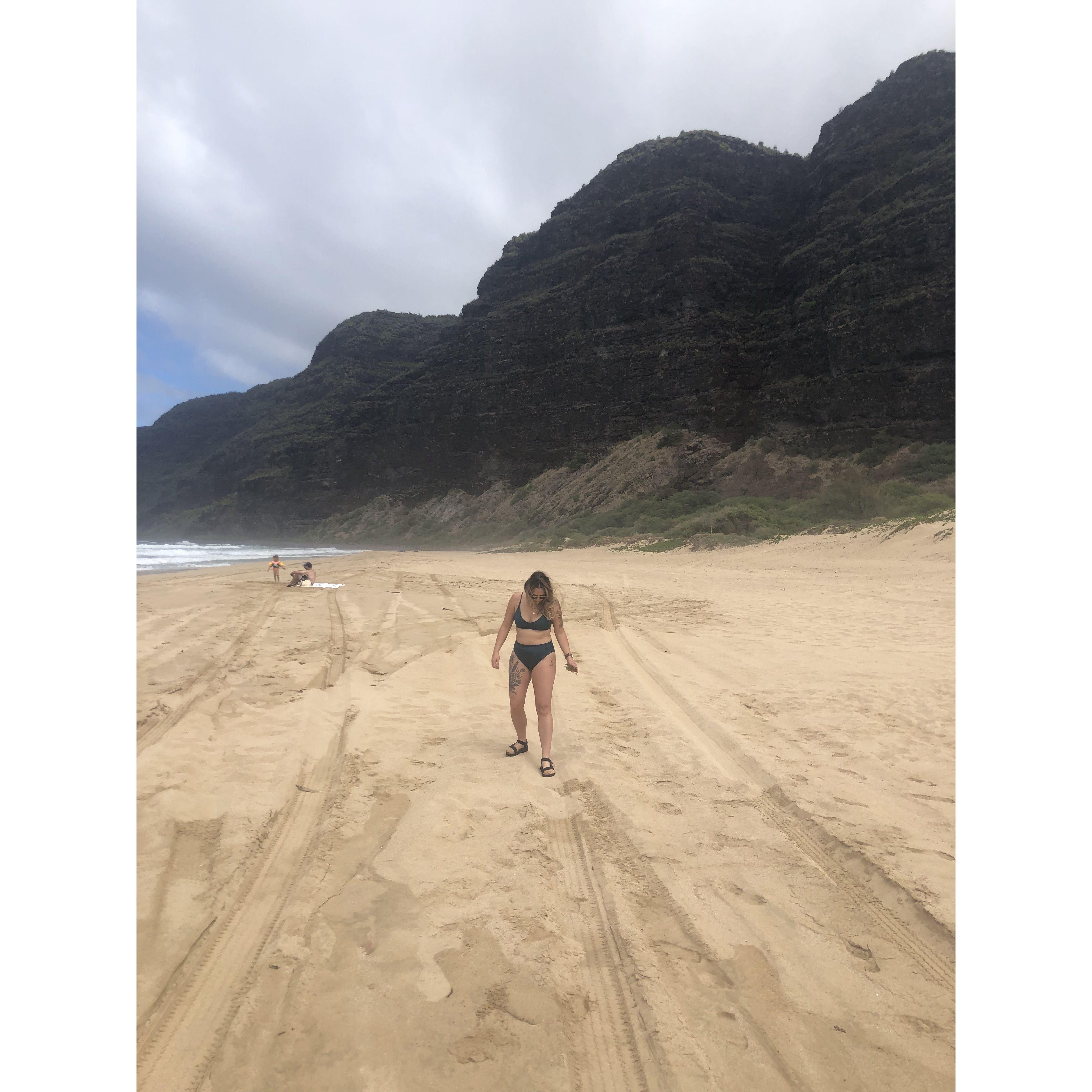 Drove over an hour to an almost private beach in Kauai, HI. It was beautiful!
