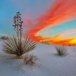 White Sands National Park