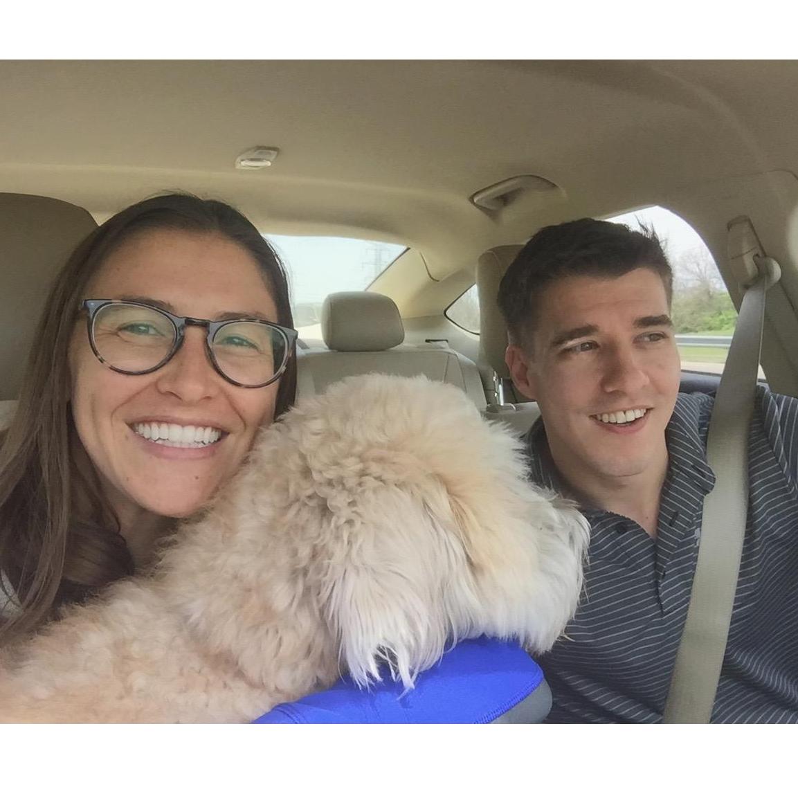 Roadtripping with Winston.