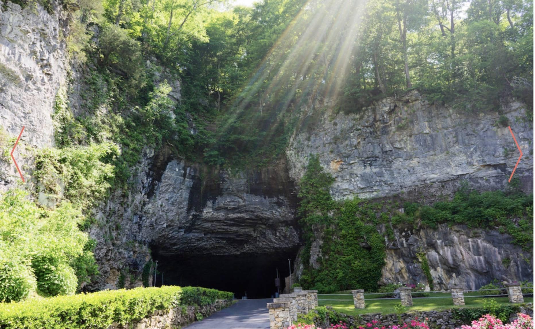 The Wedding Website of Trina Coleman and Tyler Chancey