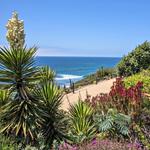 Meditation Gardens