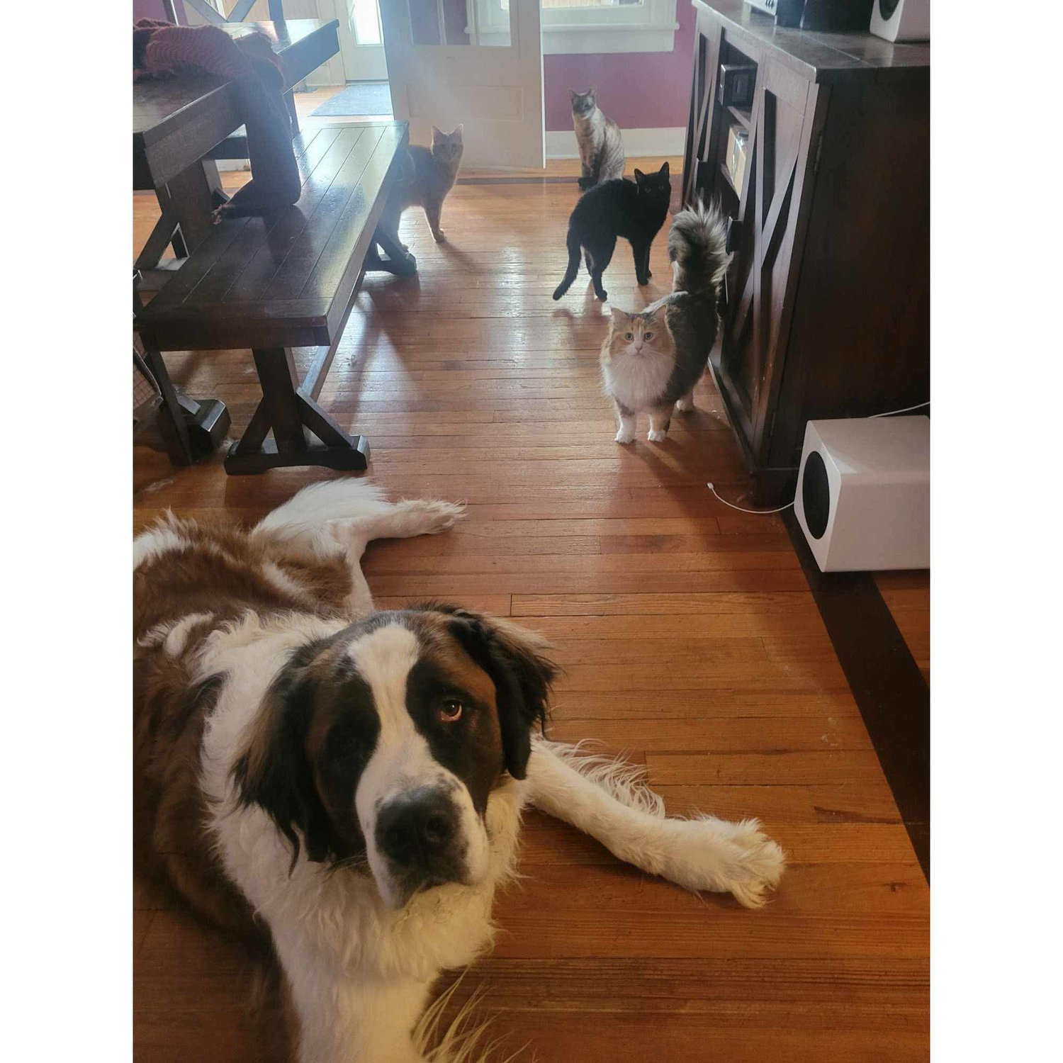 Dorothy and her minions