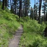 Headwaters Trailhead
