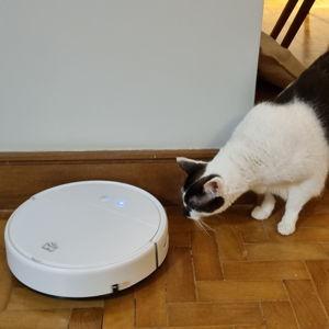Robot Vacuum