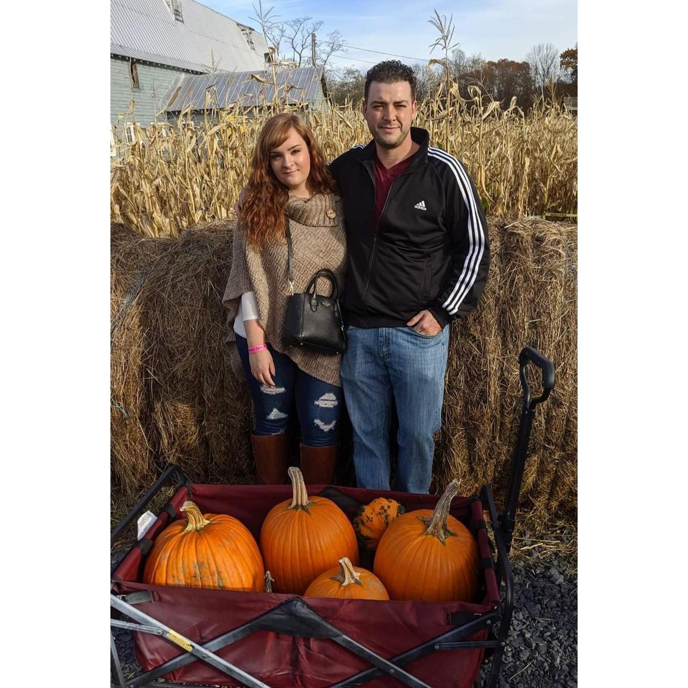 Pumpkin picking!