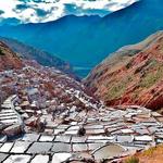 Maras