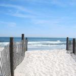 Local Shore Spots