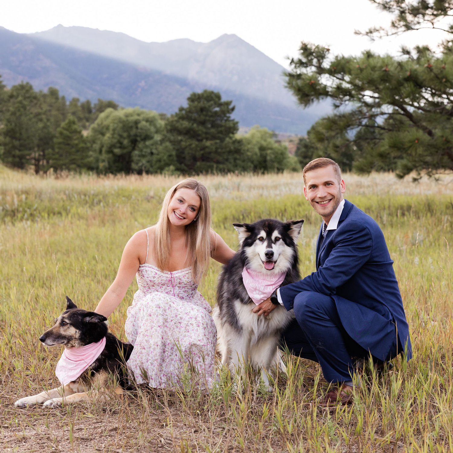 "The pack" - The first family we ever created <3 P, T, Winnie, & Skye