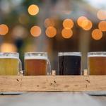 12 Fox Beer Co