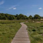 Mass Audubon Wellfleet Bay Wildlife Sanctuary