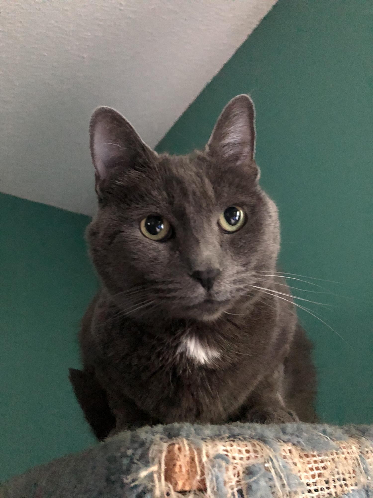 Grady doesn’t travel well but is happy for us to finally be getting married