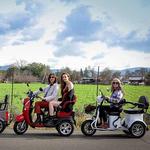 Electric Trike or eBike Guided Wine Country Tour (ages 5-100)