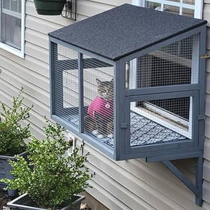 Home Reno - Window Catio