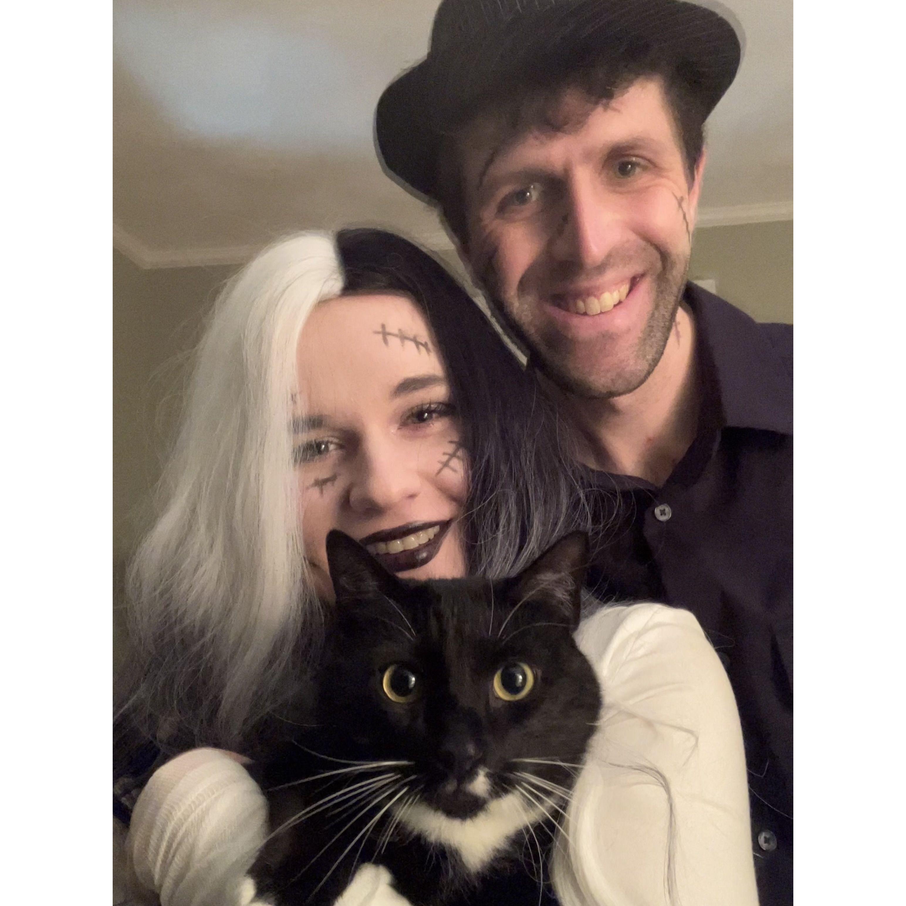 Halloween with Taz!
