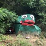 Frog Rock