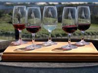 Wine Tasting in Woodinville