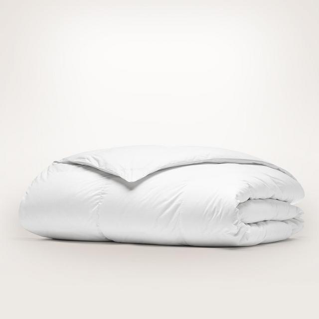 Down Duvet Insert