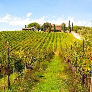 Small Group Tuscany Wine Tour from Florence, 2 Vineyards