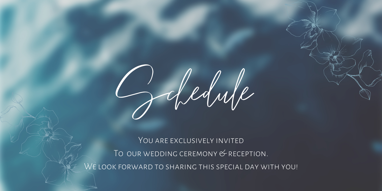 The Wedding Website of Breanna LaLone and Sergio Palacioz