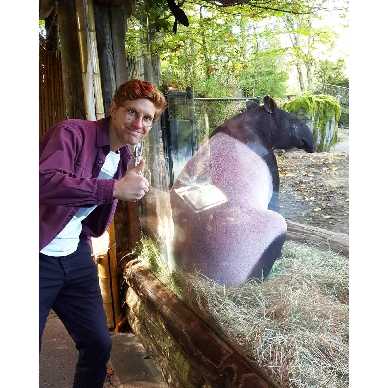 Travis with a tapir at the Woodland Park Zoo in Seattle.