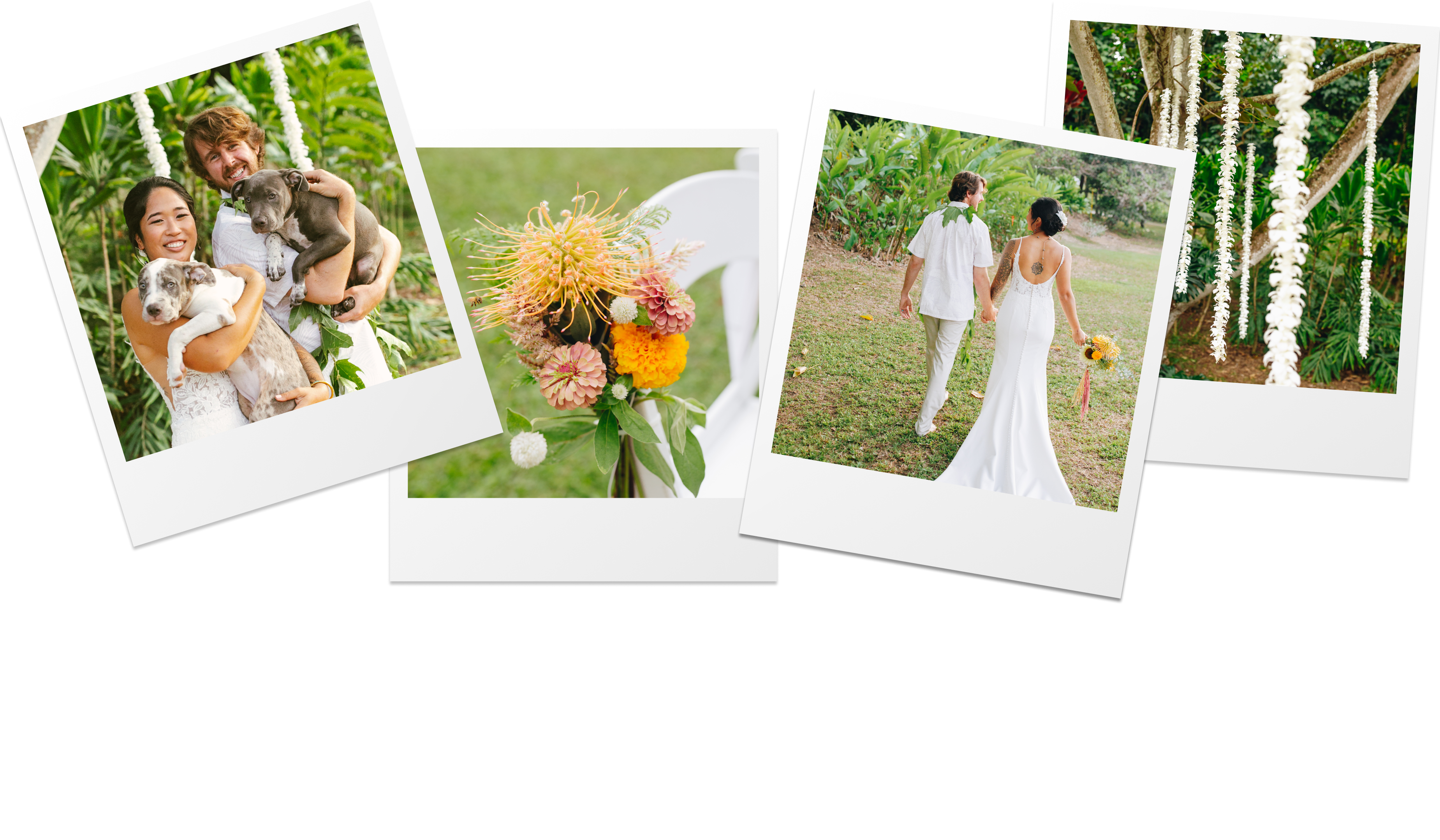 Footer image