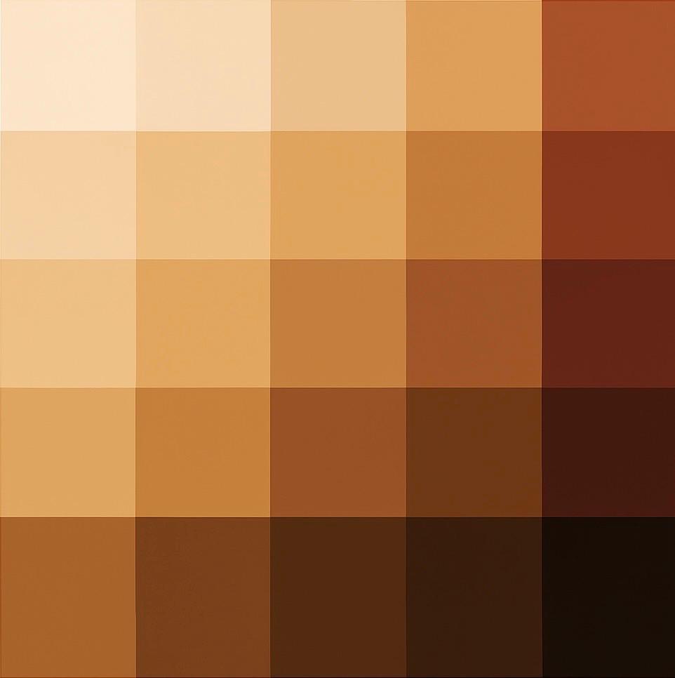 The Wedding Website of Niyla Rahman and Sonny Johnson