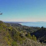 Topanga State Park